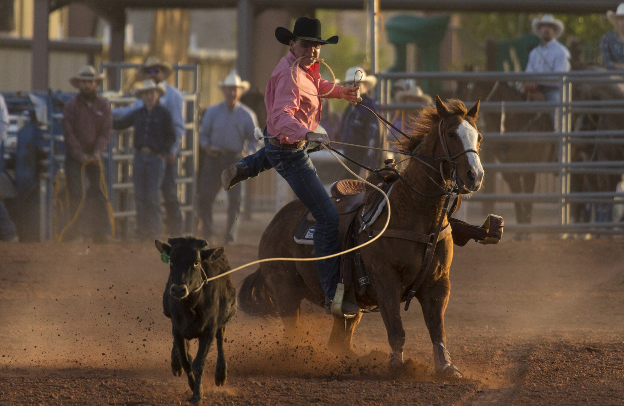 Rodeo Washington County Fair